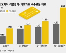 "플랫폼+약한 규제 덕, 카카오페이가 무슨 혁신?"