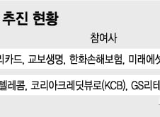 [단독]우리금융, 교보생명·한화손보 등과 민간 데이터 댐 만든다