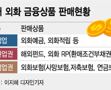 [단독]달러보험, 보험금 원화로도 받는다