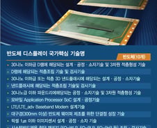 [단독]매그나칩에 드러난 국가핵심기술 구멍…'OLED칩' 뒷북 지정