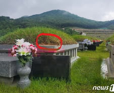 [르포] 윤석열 조부 묘 훼손 사실일까?…세종시 공원묘지 가보니