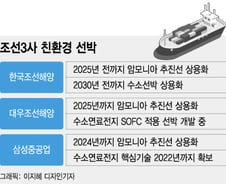 '친환경 강자' 韓조선, 암모니아·수소선박도 1등 야심