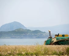 [르포]"일단 먹어방 고릅써"…'친환경 가파도 찰보리' 농부의 자부심