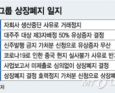 [단독]'먹튀' 中 에스앤씨, 고의상폐 전 주요 자회사 매각