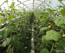 [르포]농가 생산성 30% 껑충···최악의 식량위기 해법이 보인다