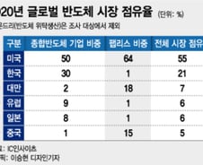 국가대항전 된 반도체…"中 굴기 걱정하던 때가 나았다"