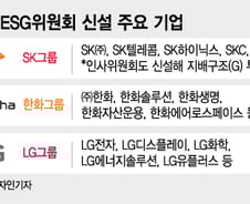 CEO 대신 인사·경영 전략 짜는 ESG위원회…왜?