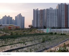 [단독]규제지역 바뀐다..광주·창원 '해제' 동두천·아산 '지정' 가능성