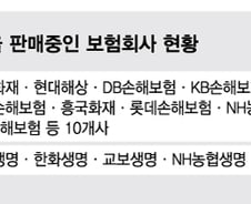 [단독]"차라리 팔지마라" 실손보험 문턱 높인 보험사 제동 건 금융당국