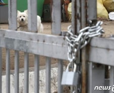 [The W]반려견에 빨간 압류 딱지?…동물, 더 이상 물건아니다