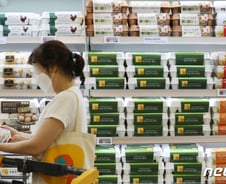 [단독]계란값 계속 오르는 이유 있었나…공정위 "담합하지마" 경고