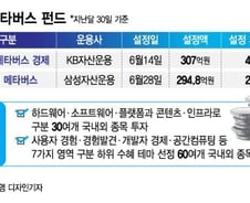 다 같은 '메타버스' 펀드? KB·삼성 뭐가 다르나 봤더니