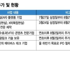 넥스트 테슬라? 메타버스株 스치기만 해도 오른다