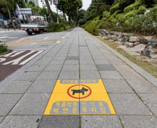 "성숙한 반려문화 정착"..서울시 첫 '반려동물 거리' 생겼다