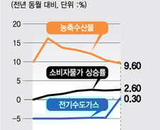 물가 뛰는데 전기요금까지?...내년 3월 대선 앞두고 올릴까 말까