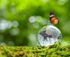 中企 ESG 소외 방치 안돼, 성급한 표준화 지양해야