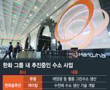 [단독]'이번엔 암모니아'···한화그룹 핵심 (주)한화, '수소 사슬' 합류