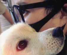 "저도 엄마 생겼어요?" 말하듯…'크림이'가 품에 쏙 안겼다