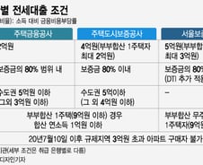 이미 조일대로 조인 '전세대출'…수도권선 갭투자 어렵다