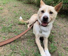 6년만에 절 꺼내준 엄마가 말했어요…"우리, 평생 함께 살자"