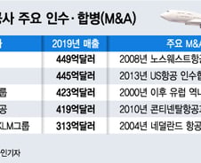 재수 끝에 합병 성공, 노선 팔고 합치고...해외 항공사 M&A 백태