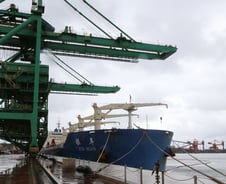 [단독]"발전용 석탄을 구하라"…기후변화가 불러온 '탈석탄 역설'