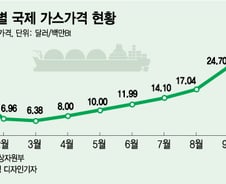 [단독] "물가 뛰는데 가스값이라도 잡자"…LNG 관세 면제 추진