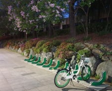 운동하며 탄소절감까지...30대 女직장인 '일상템' 된 따릉이