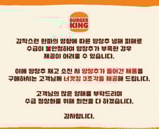 [단독]"4배 폭등" 양상추 대란에…버거킹 "대신 너겟킹 3조각"