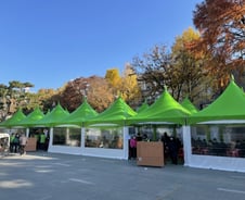 탑골공원에 설치된 초록색 '몽골텐트' 아시나요