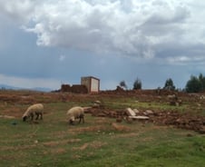 [르포]숨쉬기도 힘든 그곳에 '마추픽추' 새관문…'팀코리아'가 세운다
