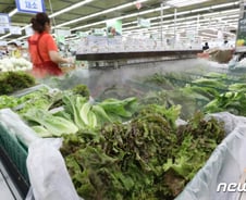 작년 2000원 하던 오이가 이젠 4000원..."대체 안 오른 게 뭐야"