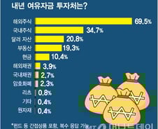 [2022 증시]내년 해외주식에 눈돌려라…투자 유망국가는 '미국'