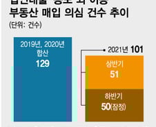 [단독]법인이 은행 돈 빌려 집 사는 '꼼수 대출' 늘었다