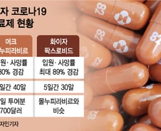 "효능 50%→30%" 불안한 머크 먹는약…결국 "또 화이자" 뒷북?
