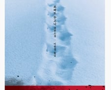 [서평]강력반 형사 트레이시의 모험 '내 동생의 무덤'
