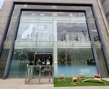 설 연휴 반려견 대신 돌봐주는 서울 자치구는 어디?