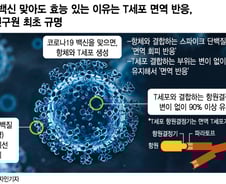 [단독] 물백신 논란에도 맞아야하는 이유…韓 과학자가 비밀 풀었다