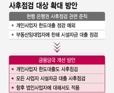 [단독]'개인사업자 마통' 한도대출로 집 사는 '꼼수대출' 막는다