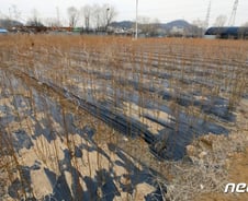 [단독]기획부동산 덫 농지로...논·밭 '지분 쪼개기' 거래 5조원