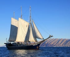 외모지상주의, 당신의 인생은 정말 괜찮은가[줄리아 투자노트]