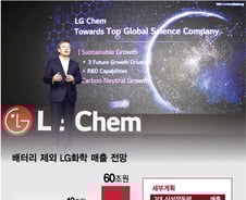 꼬리에 흔들리다, LG화학을 위한 변명