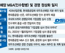 [단독] "대우조선 살릴 방법 찾아라"…조선 밑그림 다시 그린다