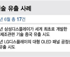 "수십년 쌓은 기술·노하우인데…"韓 OLED, 개발 보다 보안에 밤 샌다
