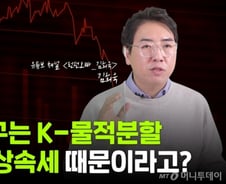 [부꾸미]개미만 '피 보는' K-물적분할…이게 다 상속세 때문?