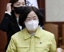 대한항공-아시아나 M&A, 공정위는 OK...미국·EU '산 넘어 산'