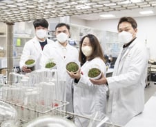 [르포]기성용 지적한 '논두렁 잔디'…골프장처럼 바꿀 '삼성 에벤저스'