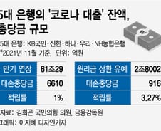 [단독]충분하다는 '코로나 대출' 충당금…5대 은행 적립률 '1%'