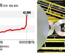 [단독]'악마의 니켈' 67% 폭등···니켈 곱버스 개미 '상폐·전액손실' 직면