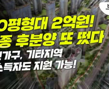 30평대 아파트가 2.2억…세종 후분양 아파트, 1인가구도 가능 [부릿지]